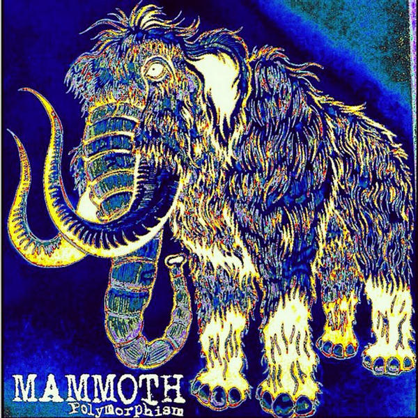Polymorphism
